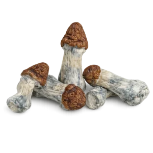 melmac