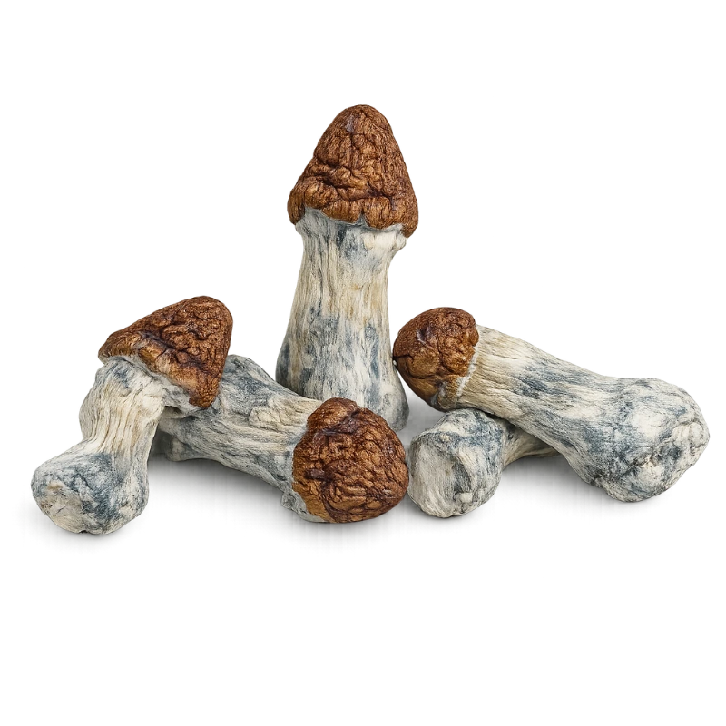 Melmac melmac