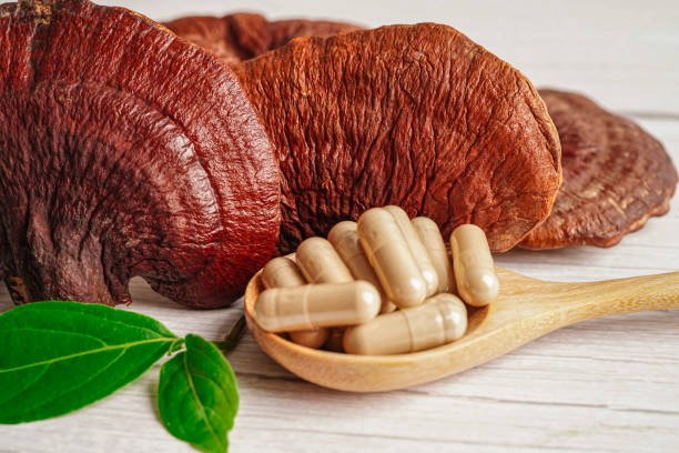 lingzhi or reishi mushroom with capsules, organic natural healthy food.