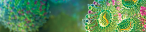 mainbanner background