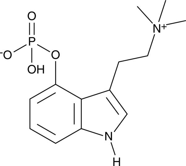 31582 (1)
